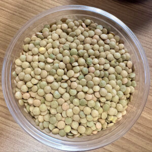 Large Green Lentils