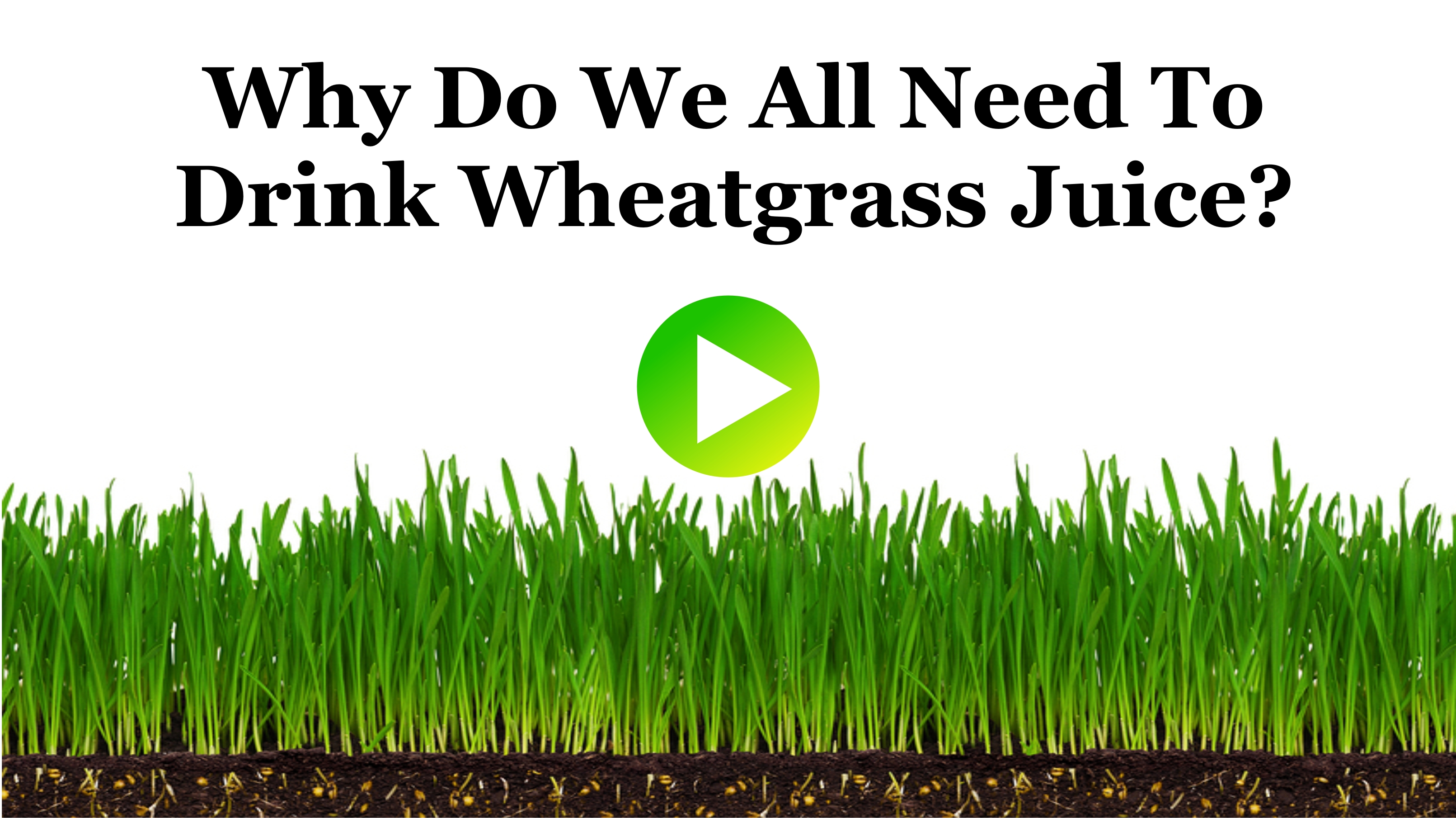 Drinking Wheatgrass Juice Markito Nutrition