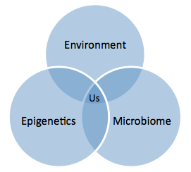 epigenetics and environment